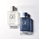 지오-디 이미지