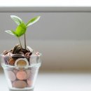 늘봄 음악학원 이미지