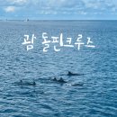 항구낚시 슈퍼 | 괌 돌핀크루즈 추천 팁 시간 준비물 멀미 복장 돌핀투어 가격 예약 후기