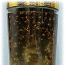 장수네집 이미지