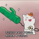 마시써 이미지