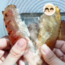 포87 이미지