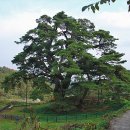 묘산고택 이미지