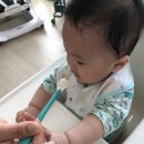 멕시카나 신길점 | [사슴이+182일차] 육아일상