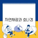 채광 티스토리