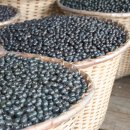 구현농장 이미지