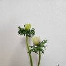 사계절꽃집 이미지