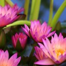 대구대실초등학교 이미지