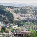 용인시 관광안내소(한국민속촌) 티스토리
