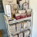 문막동물병원 | 문막 동물병원 건강검진 후기 1탄_고양이 눈 깜빡임,눈물,결막염일 때