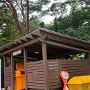계룡산동학사자동차야영장 | 계룡산국립공원 동학사야영장 후기(2번, 6번)-여름, 가을 캠핑