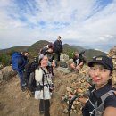 매봉산장식당 | 금백종주 아닌 반백금종주 백패킹, 짧은코스지만 코스 정말 좋았다!