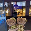 보물섬뽑기 | 대구 동성로 인형뽑기, 구미 산동 인형뽑기방 후기