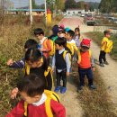 스물여덟번째 이야기 ) 자연의 색깔이 변했어요~~ 이미지