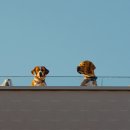 옐레드 하남미사점 이미지