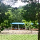 봉강 하조 오토캠핑장 이미지