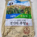 쿠팡 곰곰x농협 쌀 10kg 추천(농협 특등급 품종 경기미 추청)