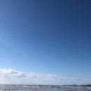 몽산포랑바다랑 이미지