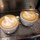 바리스타 라떼아트과정 이미지