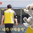 이성훈 기자의 모찌 입양홍보 동영상 EP. 1탄이 나왔습니다. 예고편 성격이네요 ~ 이미지