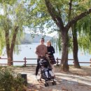 시은농장 이미지