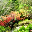 주안노인문화센터 이미지