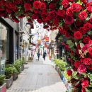 중성동117 이미지