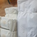 THE(더)세탁 이미지