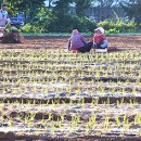 신수한우농장 이미지