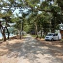 대전해수욕장3 이미지