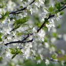 동탄중학교 이미지