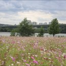 한강시민공원 이미지