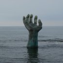 손**-5