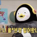 영플러스 이미지