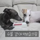 메디존 | [강아지보습크림]슈룹 건조함잡는 끝판왕 강아지 피부 진정 로션