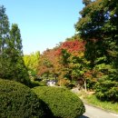 애완동물원 이미지