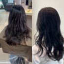 30-C | 헤어스타일/✔ 붉은기 완벽 보정! 자연톤 매트브라운 염색 시술 후기/헤어더블리 바이무드점 윤슬 디자이너