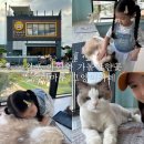 솔빈마루 이미지