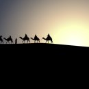 대성석유(주) 이미지