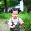 주록리계곡루돌프농장