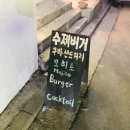 브르클린피그 이미지