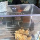 가좌역 4번출구 | 모래내 시장 맛집 | 가좌역 4번 출구 바로 앞, 겨울엔 그냥 지나칠 수 없는 붕어빵