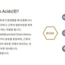 바이크박스서신