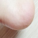 아름올리 이미지