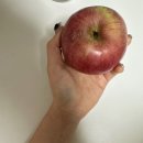 골프팡팡 | 가성비 최고! 과채팡팡 껍질째 먹는 사과 솔직 후기