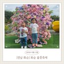 화순 하니움문화스포츠센터 세미나실1 | [전남 화순] 화순 봄꽃축제 주차 꿀팁부터 아이 체험까지 가족 나들이 완벽 코스