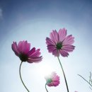 카메라 무작정 따라하기 이미지