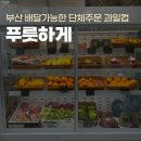 [부산/장림] 부산시 내 배달가능한 단체주문 과일컵, 푸룻하게