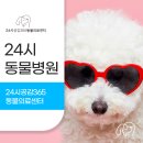 소망동물병원 이미지