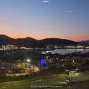 1039 | 강아지랑 의왕 롯데프리미엄아울렛 (+대형하츄핑) | 웁스어데이지 카페, 광화문어울 후기